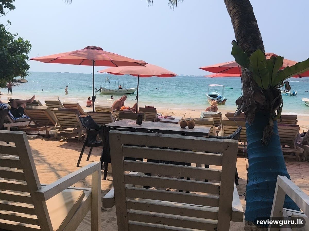 Cormorant Jungle beach
