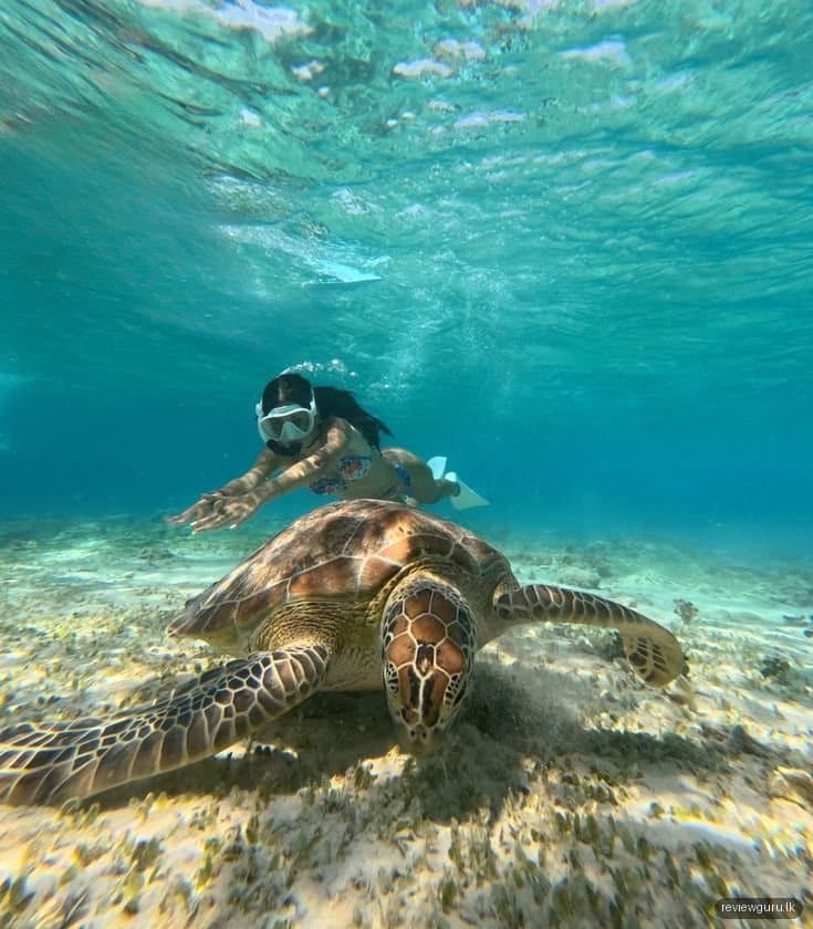 Mirissa Sea Life Diving Center
