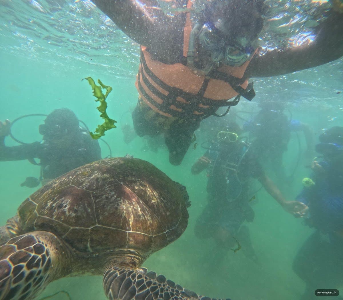 Mirissa Snorkeling & Fishing Tours