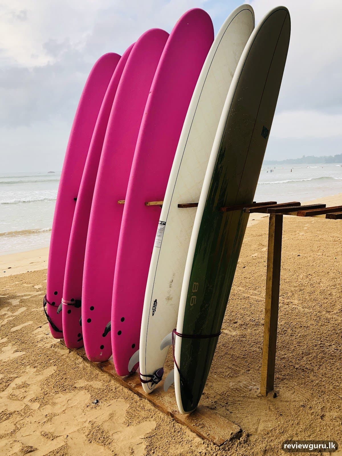 Party Wave Surf Camp