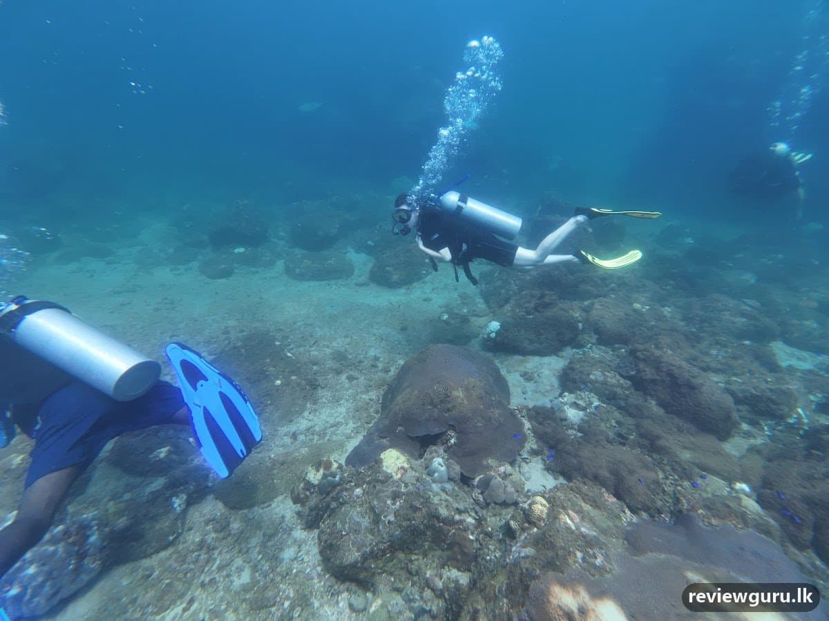 Srilanka Dive School