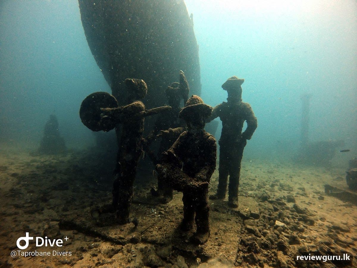 Taprobane Divers PADI Dive Resort Trincomalee