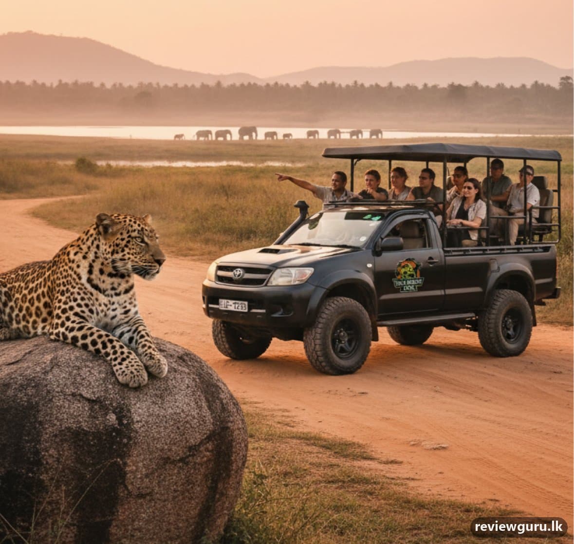 Yala Safari Tour