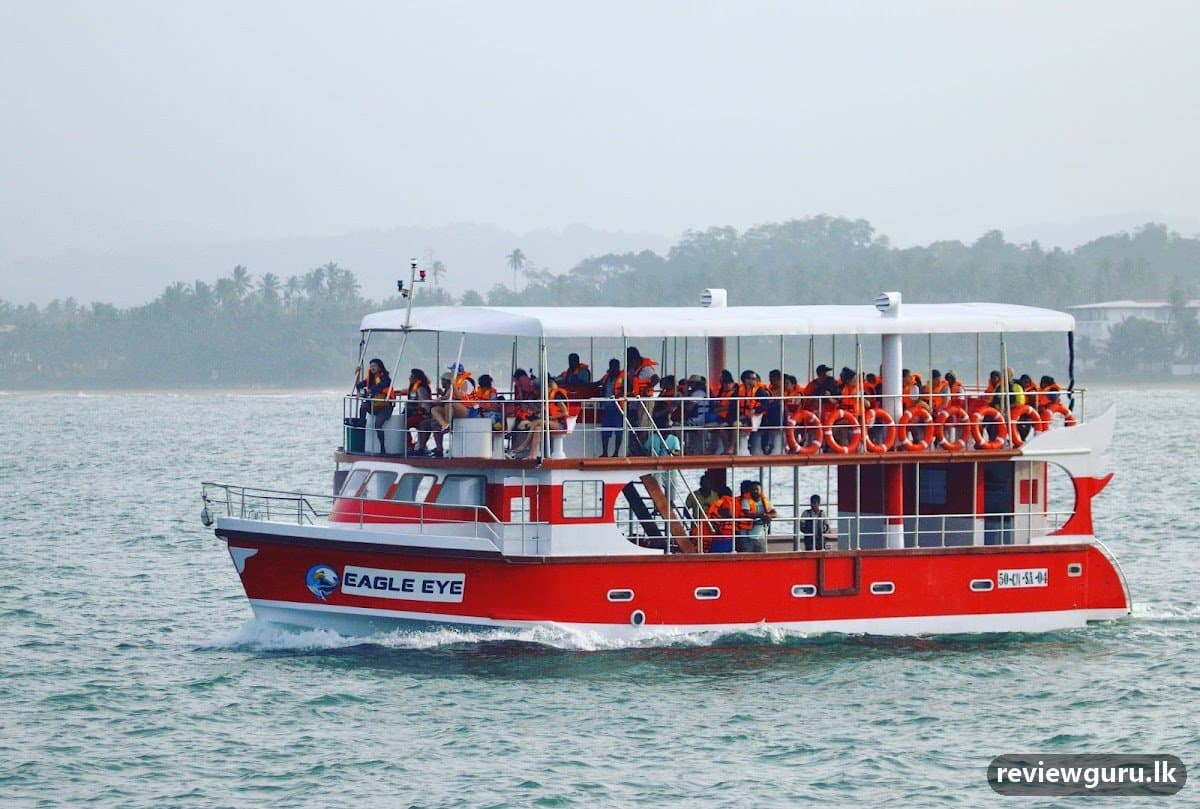 Eagle Eye Whale Watching
