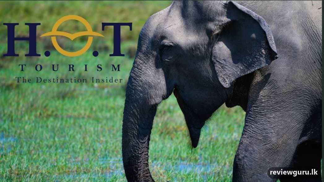 House of Travels & Tourism (H.O.T)