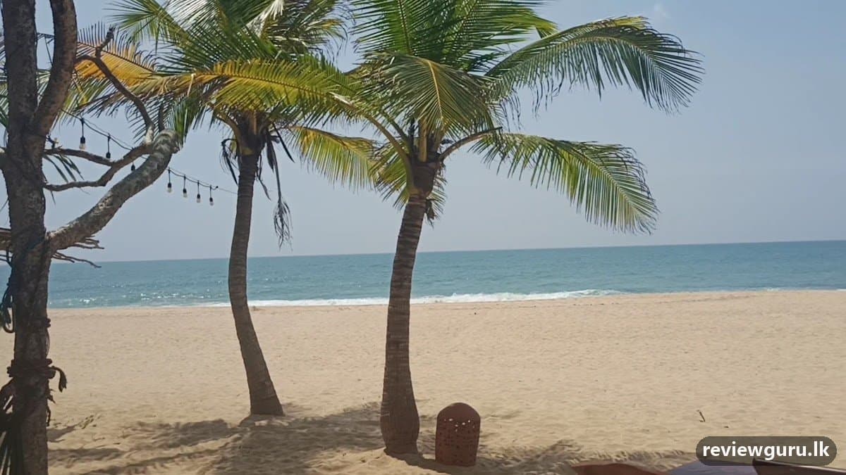 Mangrove Beach Chalets