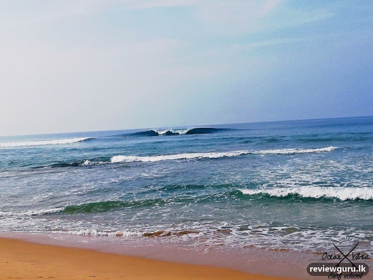 Ocean Vibes Surf School