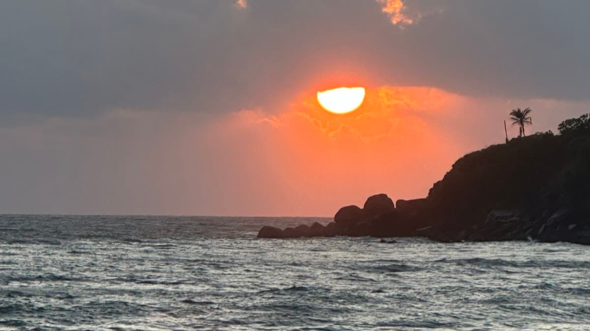 Royal Tours - Whale Watching Mirissa