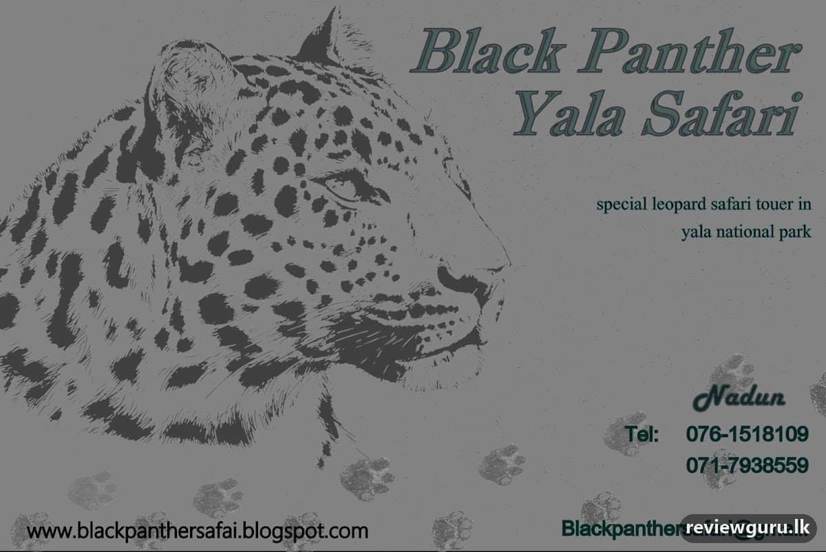 yala safari kataragama - yala safari jeep tours and - cab service kataragama