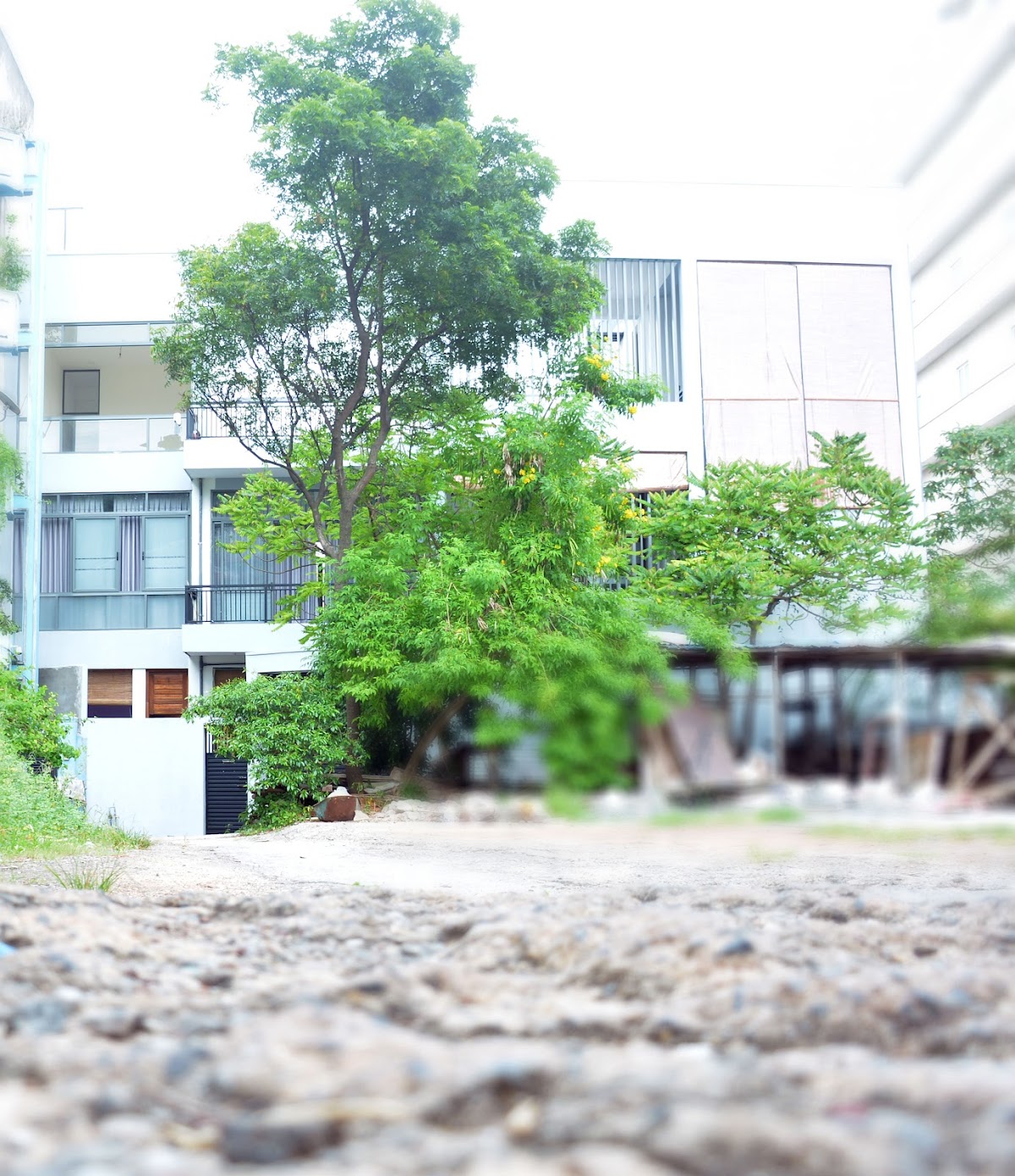Babaji Kriya Yoga Centre