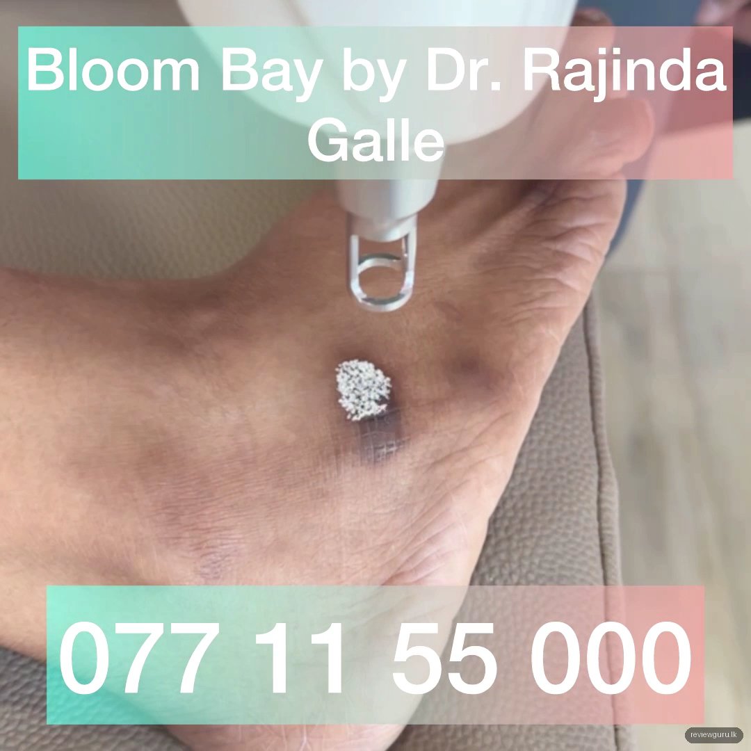 Bloom Bay by Dr. Rajinda