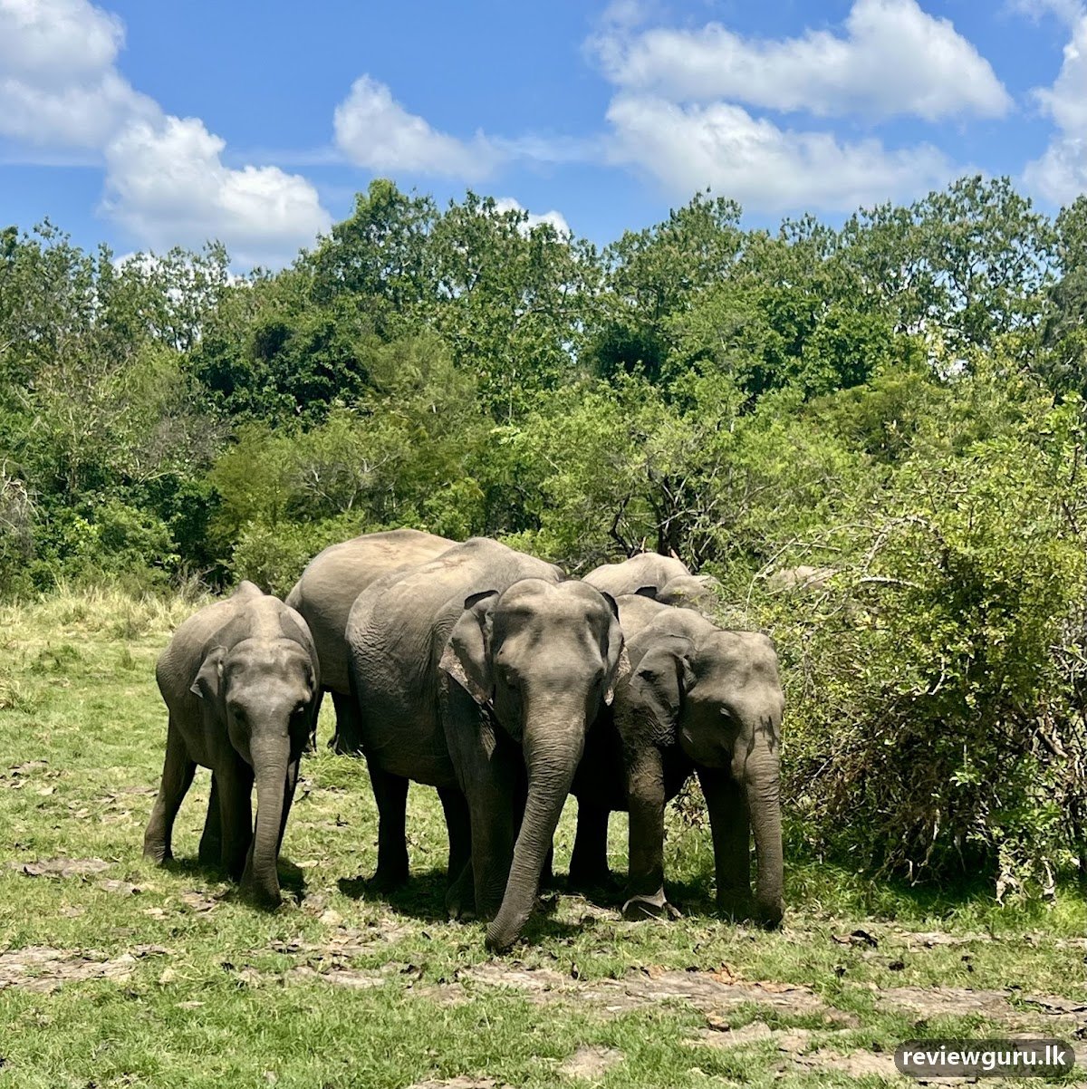 Ceylon Empire Travels (Pvt) Ltd