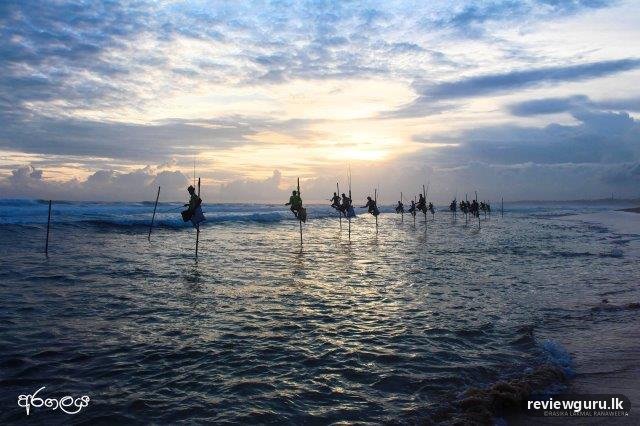 Ceylon Roots Sri Lanka