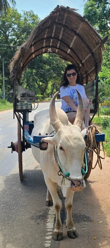 Cheap Sri Lanka Tour Packages