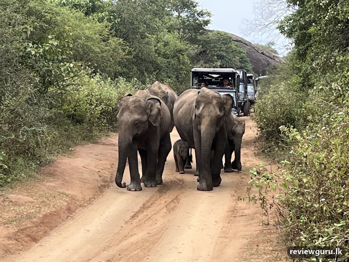 Detroves Travels (Pvt) Ltd