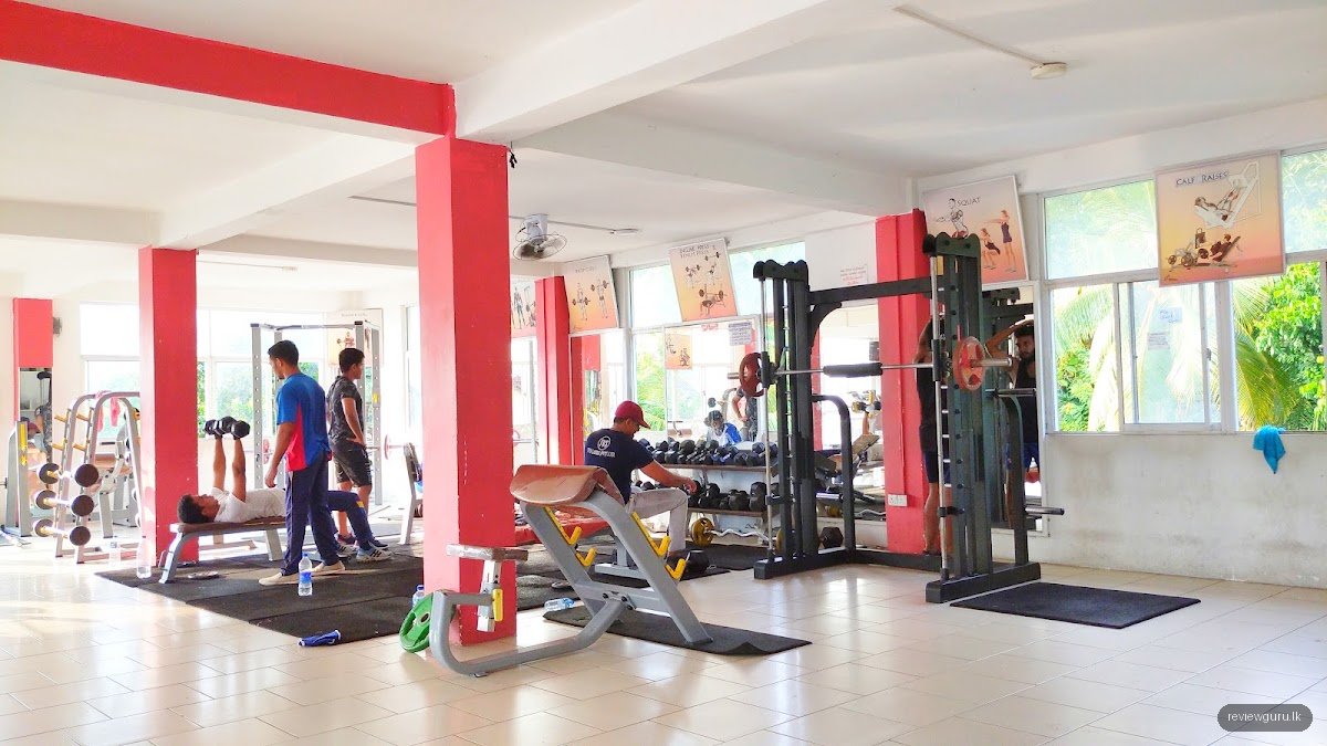 DSP Y Zone Gym
