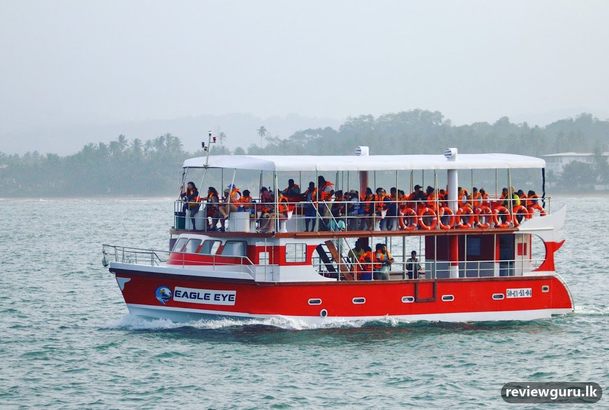 Eagle Eye Whale Watching