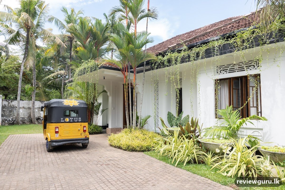 Lotus Surf & Wellness