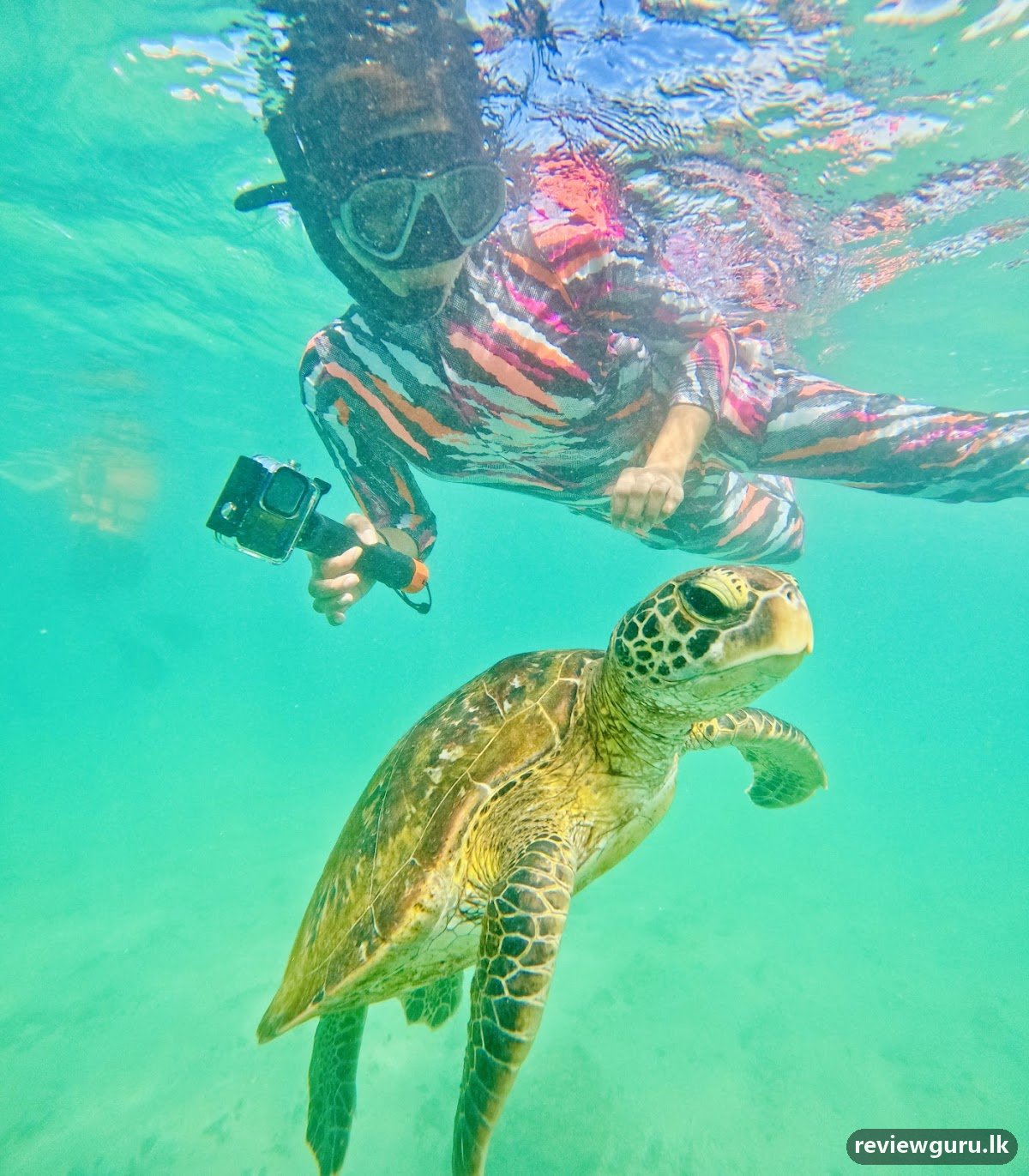 Mirissa Snorkeling Blue Whales Tours