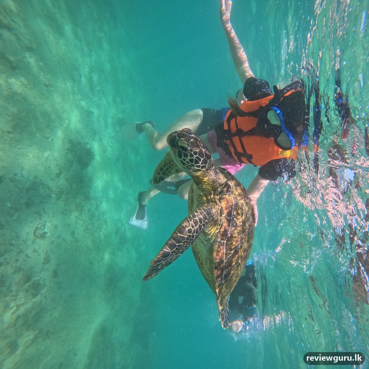Mirissa snorkeling club
