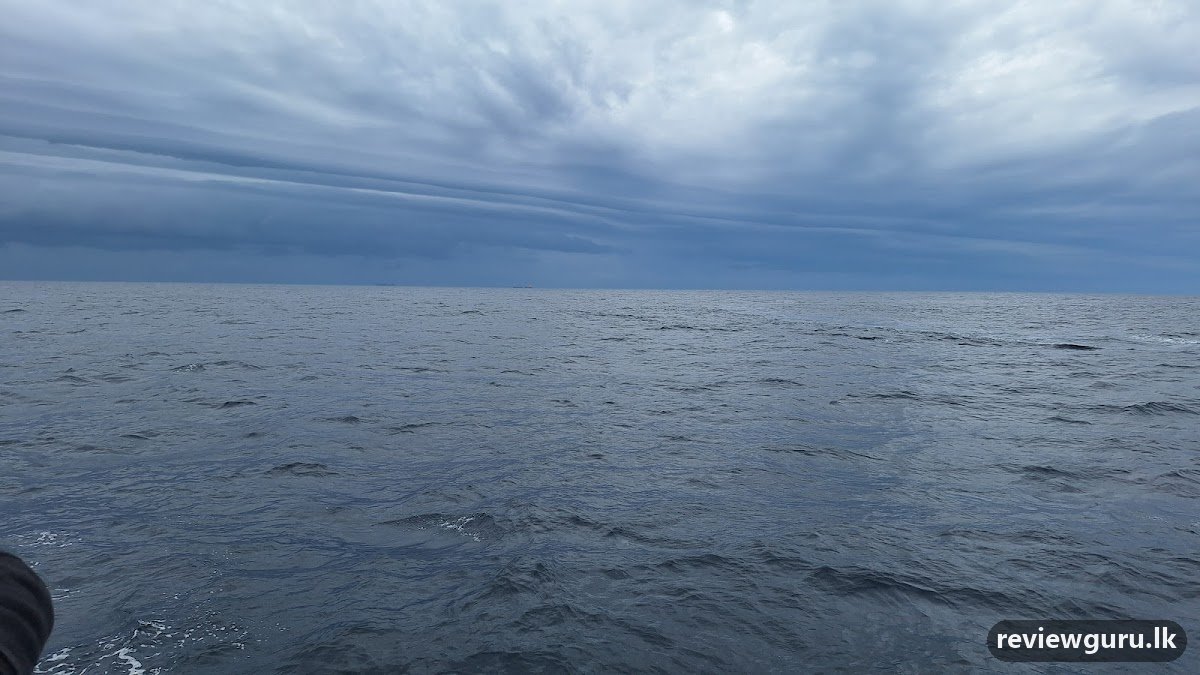 Mirissa Whale Watching