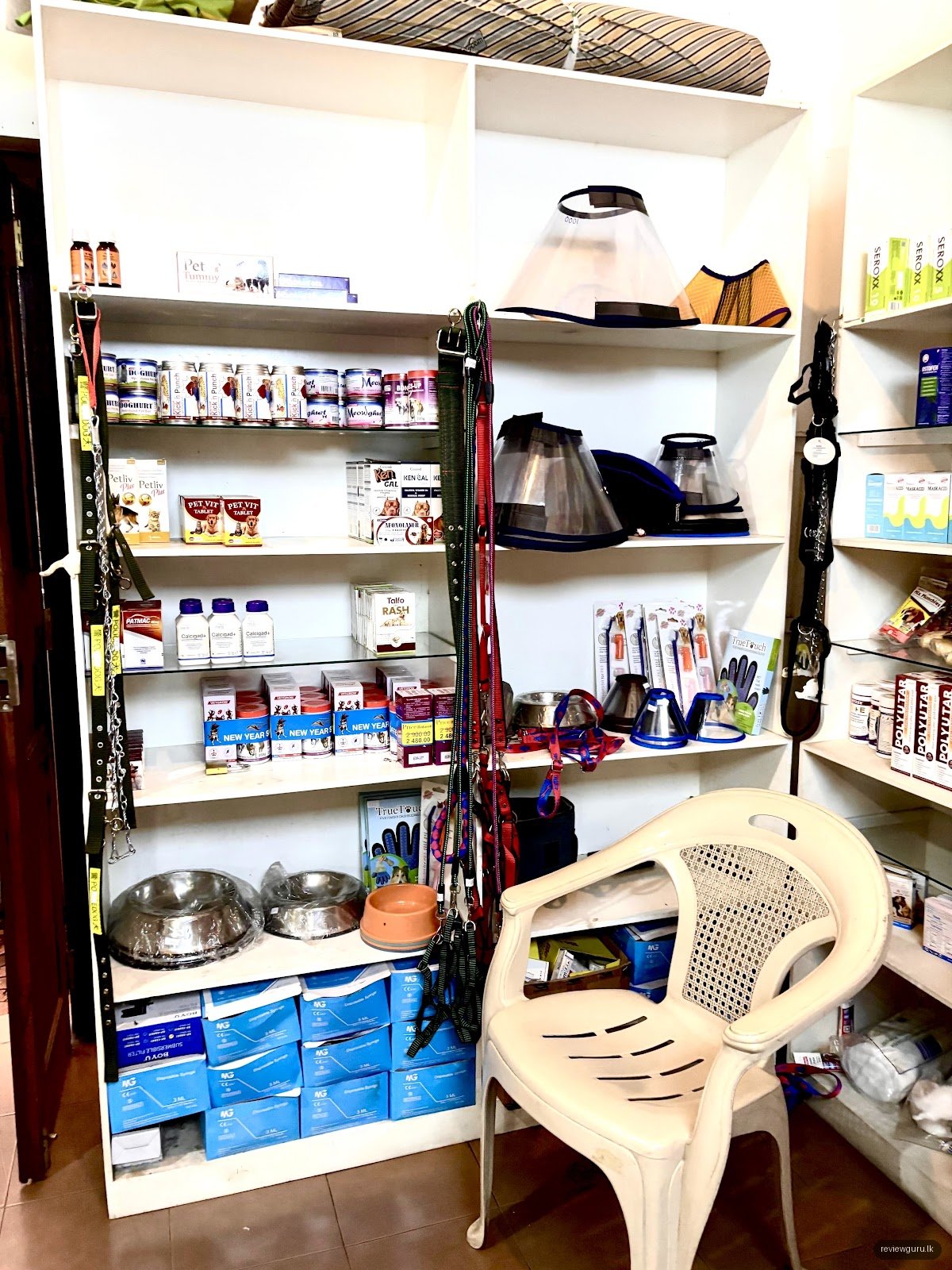 Pet Animal Clinic and Surgery