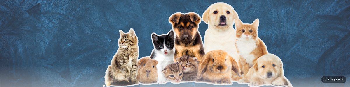 Pet Care Animal Hospital-Kandy