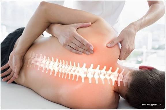 Physio Globe