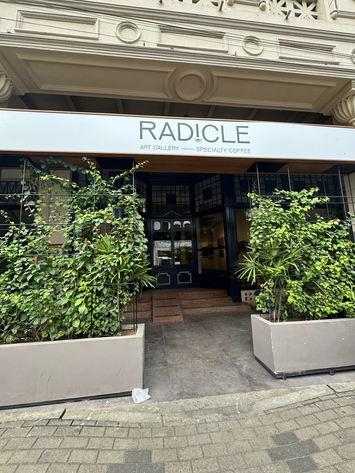 Radicle Specialty Coffee