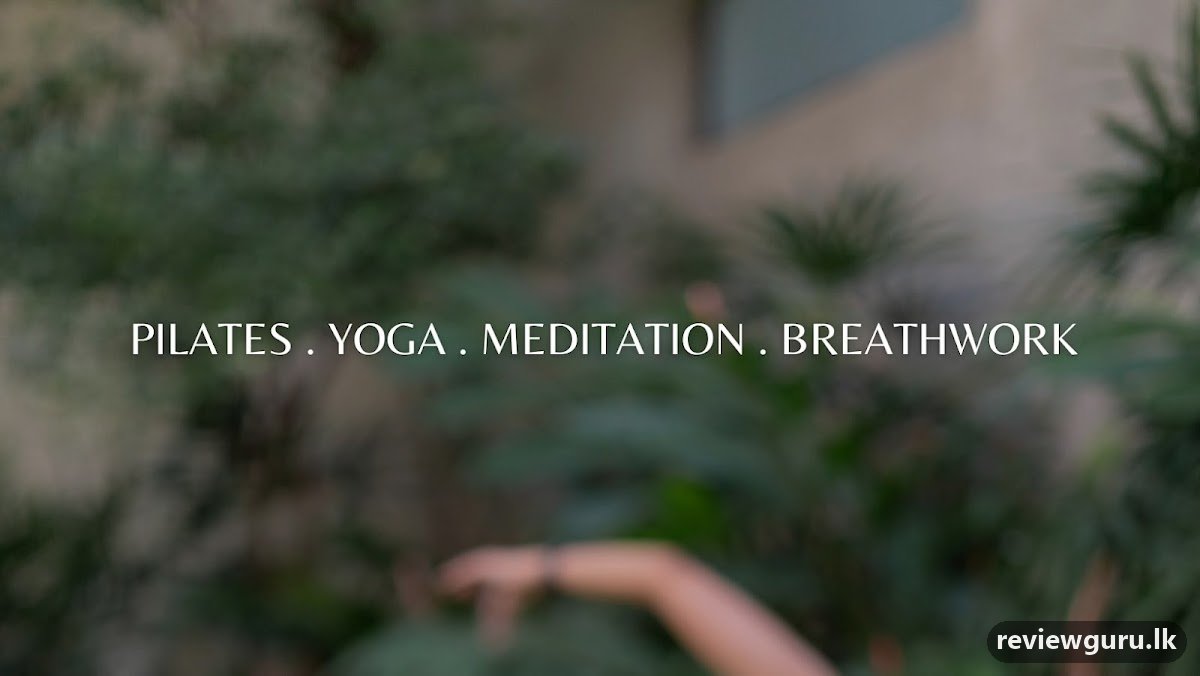 Revive Holistic Wellness