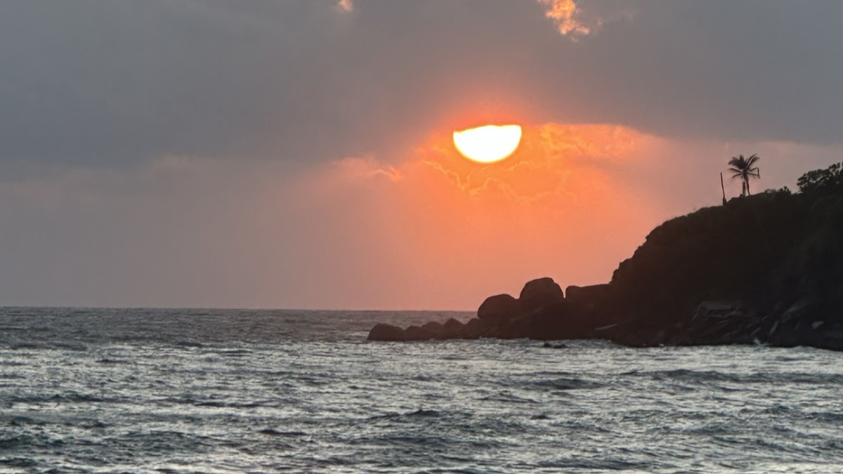 Royal Tours - Whale Watching Mirissa