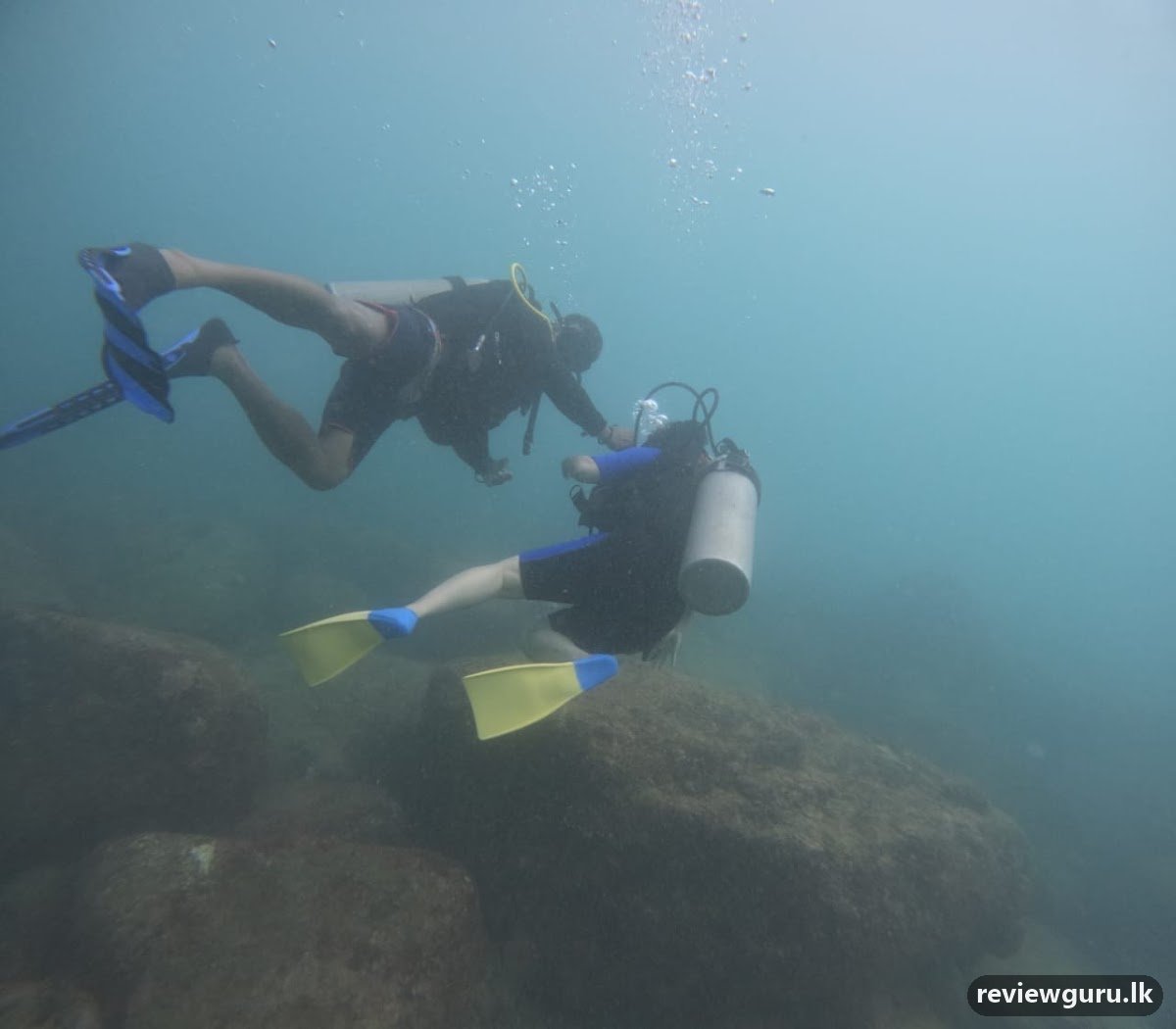 Sri Lanka diving academy Mirissa
