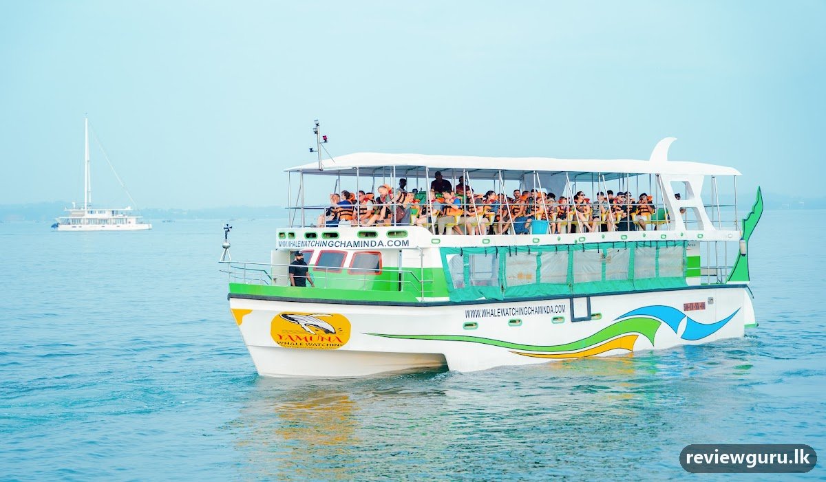 Whale Watching Chaminda Mirissa Sri Lanka
