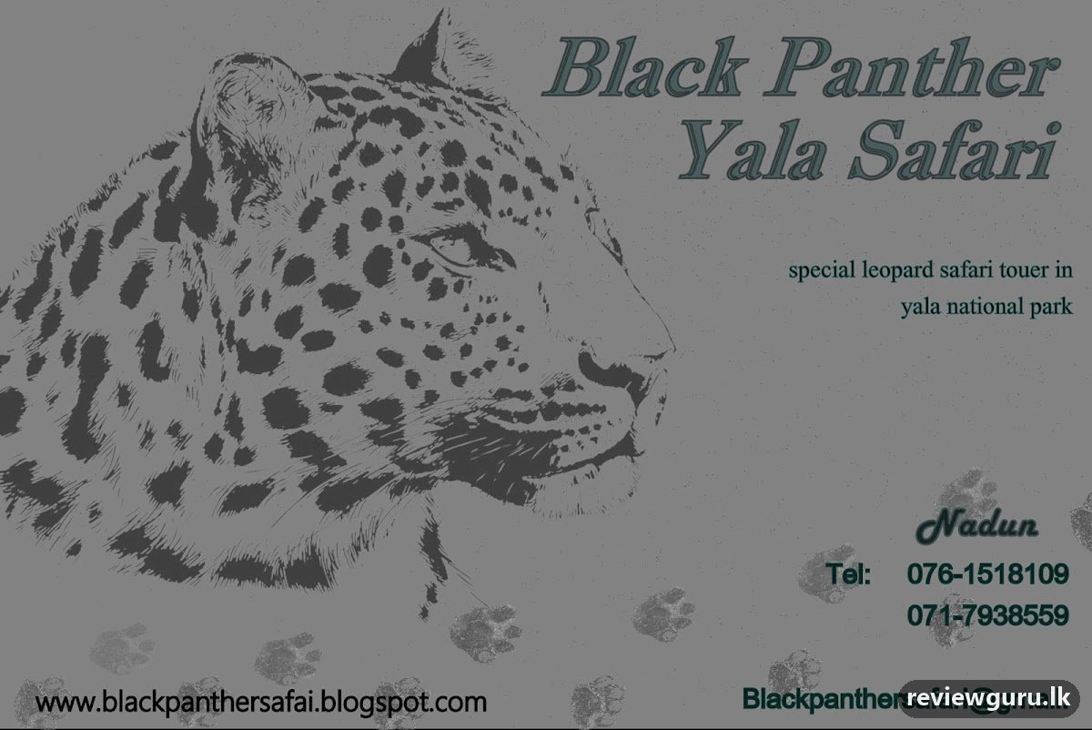 yala safari kataragama - yala safari jeep tours and - cab service kataragama