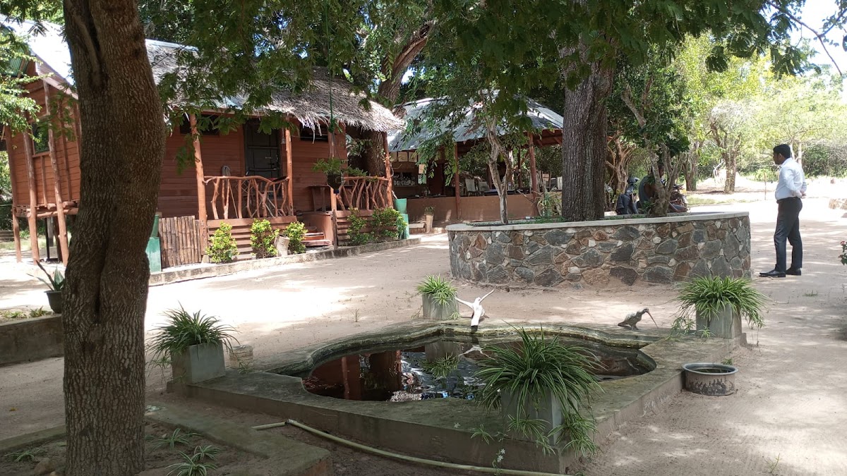 Yala Safari Tour Operator - Yala Wild Safaris